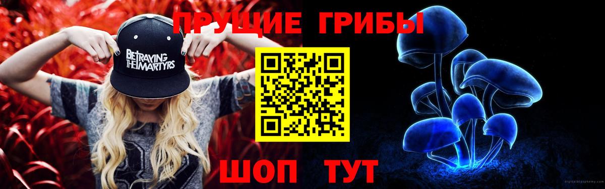 Псилоцибиновые грибы ЛСД  Вход с VPN  Псилоцибиновые грибы GOLDEN TEACHER  Шарыпово 